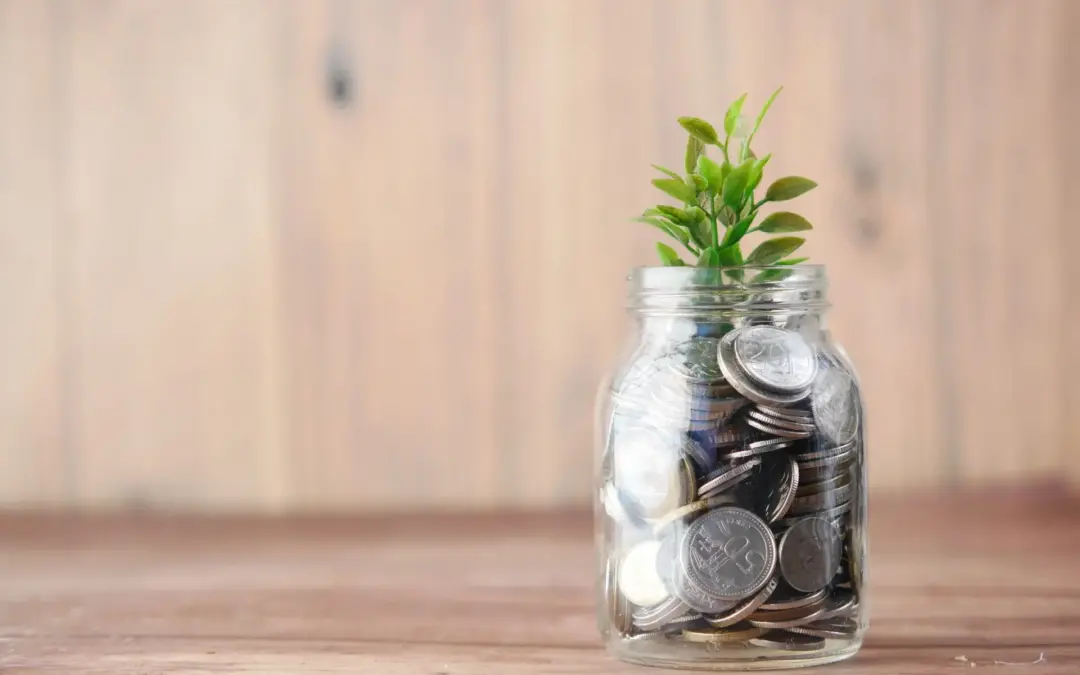 Peer-to-Peer (P2P) Lending: Advantages and Disadvantages Uncovered