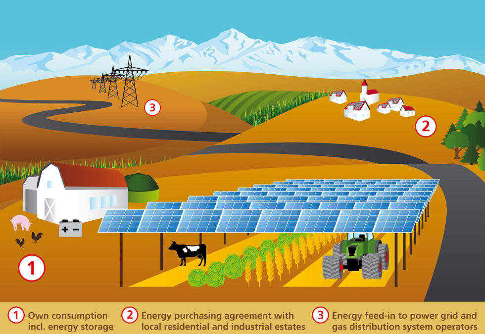 What is a Managed Farmland?